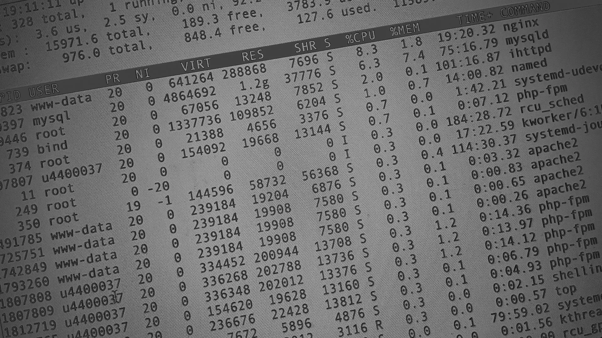 Настройка сервера в Задонске