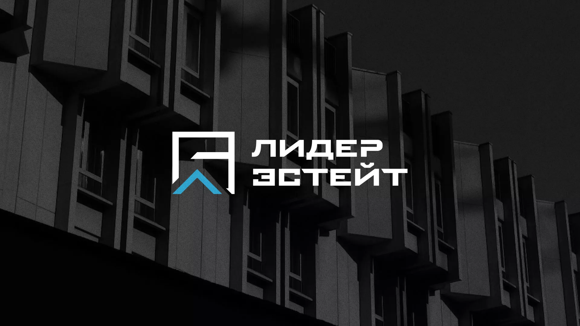Разработка логотипа агентства недвижимости «Лидер Эстейт» в Задонске